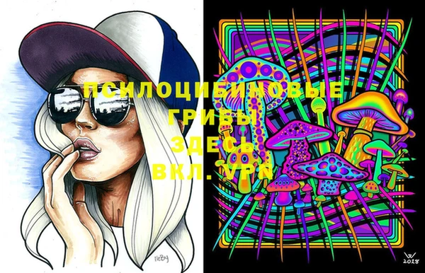 дурь Каменка