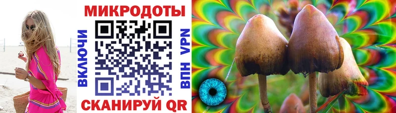 OMG зеркало  Бологое  Галлюциногенные грибы MAGIC MUSHROOMS 